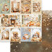 Memory Place - Beary Cozy Collection - 6 x 6 Collection Pack