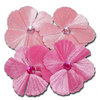 Maya Road - Trinket Blossoms Collection - Velvet Jewel Flower - Light Pink And Dark Pink, CLEARANCE