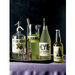 Martha Stewart Crafts - Elegant Witch Collection - Halloween - Food and Beverage Labels