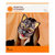 Martha Stewart Crafts - Animal Masquerade Collection - Halloween - Decorative Mask - Cat