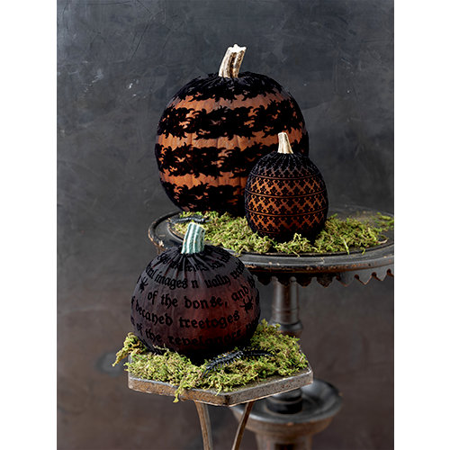 Martha Stewart Crafts - Gothic Manor Collection - Halloween - Pumpkin Sleeves