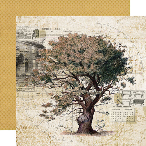 Simple Stories - Simple Vintage Ancestry Collection - 12 x 12 Double Sided Paper - Family Tree