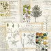 Simple Stories - Simple Vintage Country Harvest Collection - 12 x 12 Double Sided Paper - Nature's Wonder