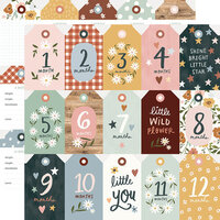 Simple Stories - Boho Baby Collection - 12 x 12 Double Sided Paper - Tags