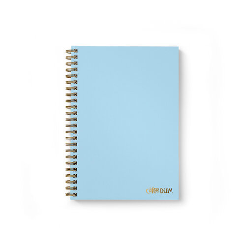 Carpe Diem - B5 Hardcover Notebook - Sky Blue