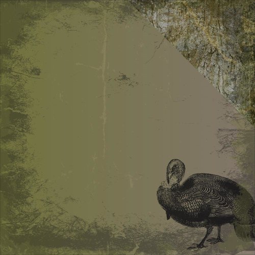 Moxxie - Hunting Collection - 12 x 12 Double Sided Paper - Wild Turkey