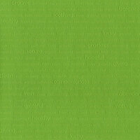 Core'dinations - Happy Colors Collection - 12 x 12 Embossed Color Core Cardstock - Nature