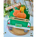 Pink and Main - Dies - Fall Pumpkin