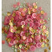 28 Lilac Lane - Shaker Mixes - Rose Garden