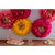 Martha Stewart Crafts - Pom Pom Kit - Poppy Flowers