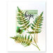 Penny Black - Cling Mounted Rubber Stamps - Fresh Fern