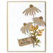 Penny Black - Cherished Collection - Creative Dies - Delicate Daisies
