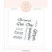 Pigment Craft Co - Clear Photopolymer Stamps - Stacked Sentiments - Best Ever