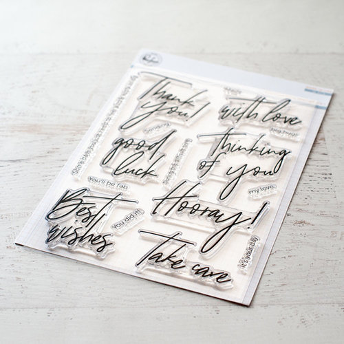 Pinkfresh Studio - Clear Photopolymer Stamps - Scripted Bold Sentiments 1