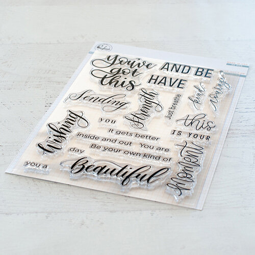 Pinkfresh Studio - Clear Photopolymer Stamps - You've Got This
