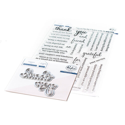 Pinkfresh Studio - Clear Photopolymer Stamps and Die Set - Simply Sentiments - Thank You Bundle
