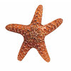 Paper House Productions - Travel Collection - Mini Die Cut Piece - Starfish