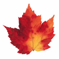 Paper House Productions - Autumn Collection - Mini Die Cut Piece - Maple Leaf Variegated