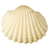 Paper House Productions - Beach Collection - Mini Die Cut Piece - White Scallop
