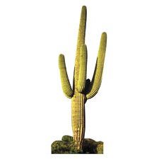 Paper House Productions - Arizona Collection - Mini Die Cut Piece - Cactus