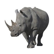 Paper House Productions - Africa Collection - Mini Die Cut Piece - Rhinoceros