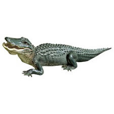 Paper House Productions - Florida Collection - Mini Die Cut Piece - Alligator