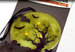 Paper House Productions - Halloween - 3 Dimensional LED Shimmers - Moonlight