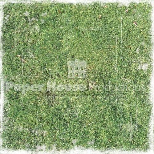 Paper House Productions - Lacrosse Collection - 12 x 12 Paper - Distressed Grass
