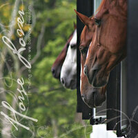 Paper House Productions - Horse Collection - 12 x 12 Paper - Horse Lover