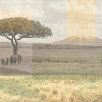 Paper House Productions - Africa Collection - 12 x 12 Paper - Africa Collage