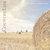 Paper House Productions - Farm Collection - 12 x 12 Paper - Field of Hay