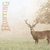 Paper House Productions - Hunting Collection - 12 x 12 Paper - Whitetail Deer
