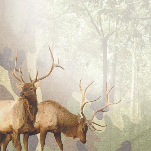 Paper House Productions - Hunting Collection - 12 x 12 Paper - Majestic Elk