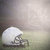 Paper House Productions - Football Collection - 12 x 12 Paper - Helmet on Field