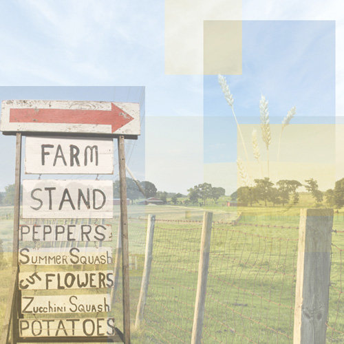 Paper House Productions - Farm Collection - 12 x 12 Paper - Farm Stand