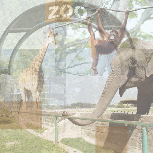 Paper House Productions - Zoo Collection - 12 x 12 Paper - Zoo Collage
