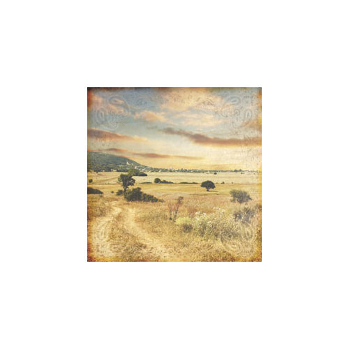 Paper House Productions - Country Star Collection - 12 x 12 Paper - Home on the Range