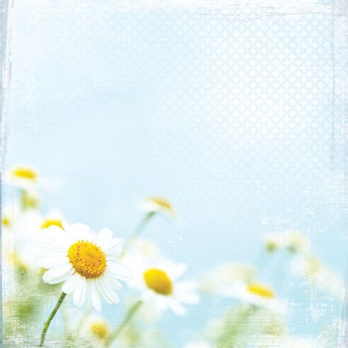 Paper House Productions - Floral Collection - 12 x 12 Paper - Bright Daisies