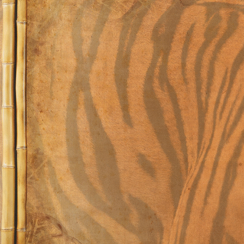 Paper House Productions - 12 x 12 Paper - Tiger Stripes