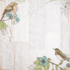 Paper House Productions - Backyard Birds Collection - 12 x 12 Paper - Backyard Birds