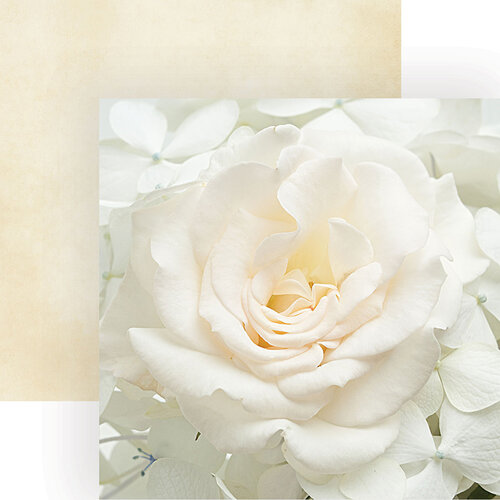 Paper House Productions - 12 x 12 Double Sided Paper - White Rose