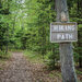 Paper House Productions - 12 x 12 Double Sided Paper - Hiking Path