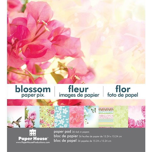 Paper House Productions - 6 x 6 Paper Pad - Blossom