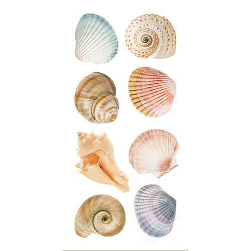 Paper House Productions - StickyPix Stickers - Sea Shells