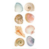 Paper House Productions - StickyPix Stickers - Sea Shells