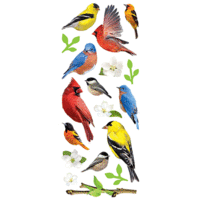 Paper House Productions - 3 Dimensional Chipboard Stickers - Backyard Birds