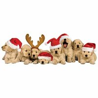 Paper House Productions - 3 Dimensional Stickers with Glitter and Jewel Accents - Christmas Puppies