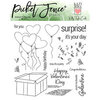 Picket Fence Studios - Clear Photopolymer Stamps - Surprise It's Your Day