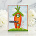 Picket Fence Studios - Clear Photopolymer Stamps - Pick a Carrot