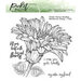 Picket Fence Studios - Clear Photopolymer Stamps - Barberton Daisy